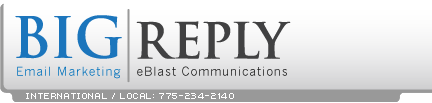 BigReply home page Logo