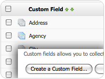 Unlimited Custom Fields